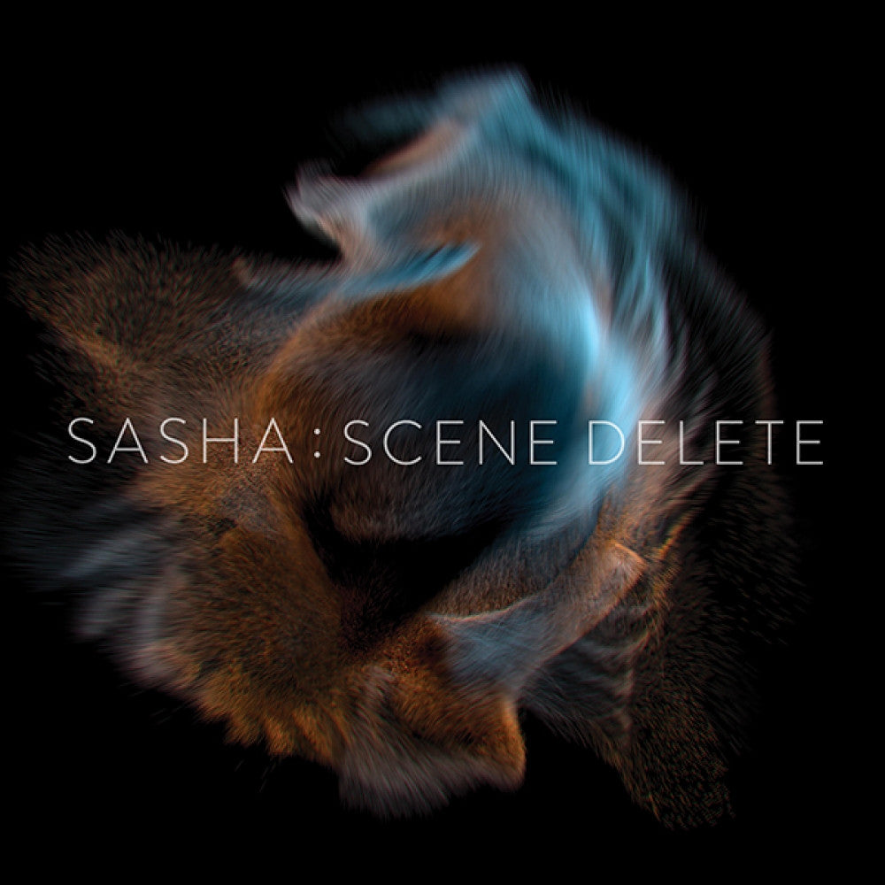 Sasha: Scene Delete