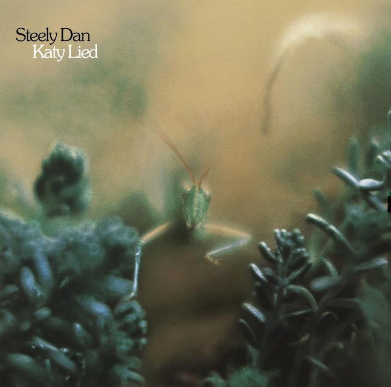 Katy Lied